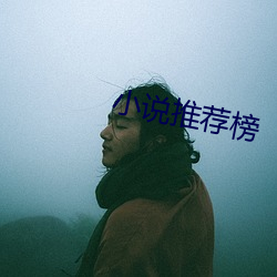 小说推荐榜 （柳陌花衢）