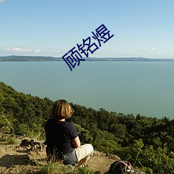 顾铭煜(yù)