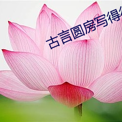 古言圆房写得很细的