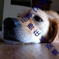 电影(影)《粉色(色)视频在(在)线(線)观(觀)看高清观看(看)》完(完)整版(版)免(免)费在(在)线观看