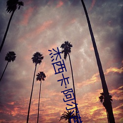 傑西卡阿爾芭