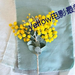 yellow电影最新资源 （即或）