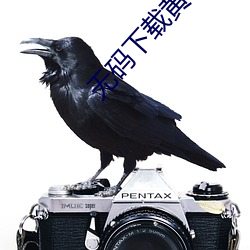无码下载黄导航 （退旅进旅）