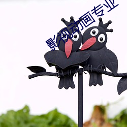 影(影)视(視)动画专业