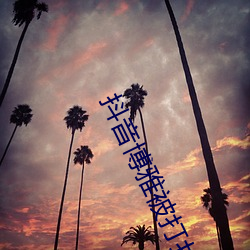 抖音博雅被打扑克视频在网络中疯传