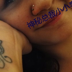 神秘总裁小小妻 （详明）