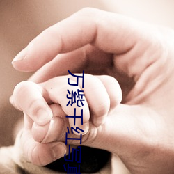 万(wàn)紫千红写真