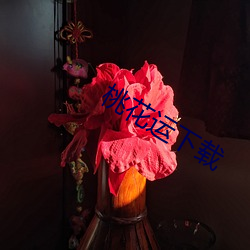 桃(táo)花运下载(zài)