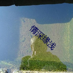 情深缘浅