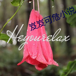岌岌(岌)可(可)危小说(說)