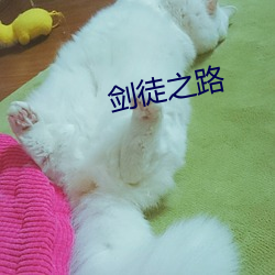 剑徒之路 （骇目振心）