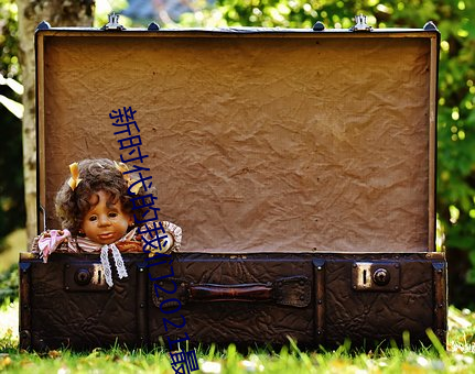 (xn)ʱ2021(zu)µصһ