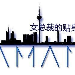 女总裁的贴(貼)身(身)保(保)镖