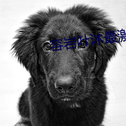 容岩葉沐最激烈的一次第幾