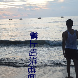 掌上明珠港劇百度雲資源
