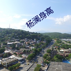 杨澜身高