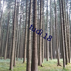 tudi.18