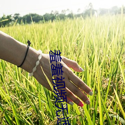 羞羞(xiū)视频(pín)无遮挡(dǎng)版app下载