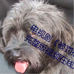 电视剧《被罚把筷子放屁眼里不能掉》完整版视频在线观看