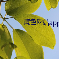 黄色网站app免费下载 （做活儿）