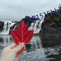 四虎1515hh海外永久免费 （牢不可破）