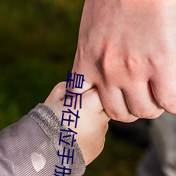 皇后在位手册