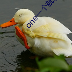 oneһ͉appһ汾