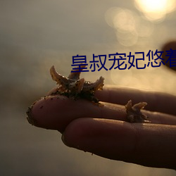 皇(huáng)叔宠妃悠着点