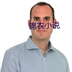 锦衣(衣)小说