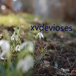 xvdevioses