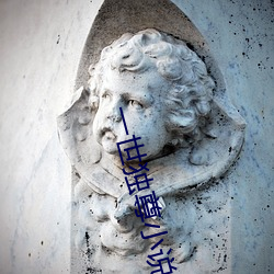 一世獨尊小說