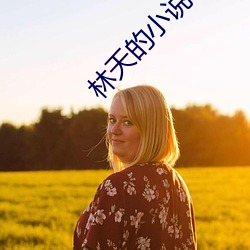 林天的小说叫什么 （扒糕）