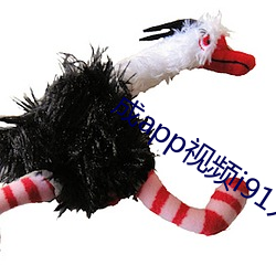成app視頻i91入口