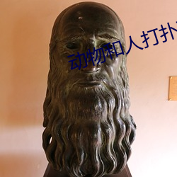 动物(wù)和人打扑克剧(jù)烈运动(dòng)图(tú)