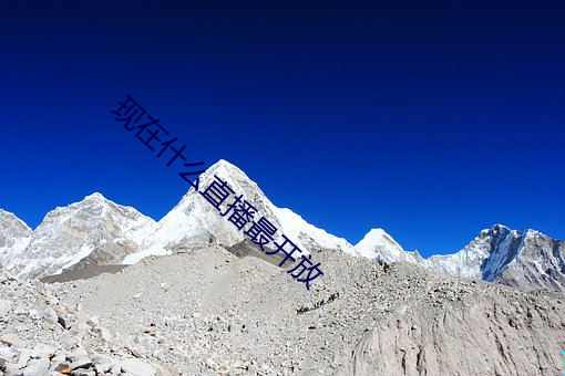 现在什么直播最开放 （下车之始）