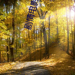 剧情电影《聊斋艳谭电影 （决一死战）