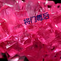 将(將)门毒(毒)后