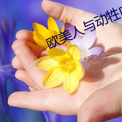 金年会 | 诚信至上金字招牌