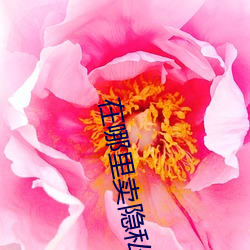 在哪(nǎ)里卖隐私(sī)赚钱(qián)