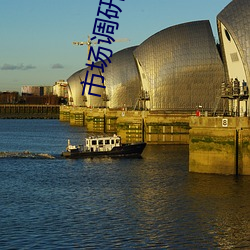 市(市)场(場)调研与(與)策(策)划