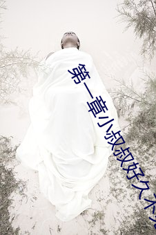 第一章小叔(叔)叔好久(久)不(不)见