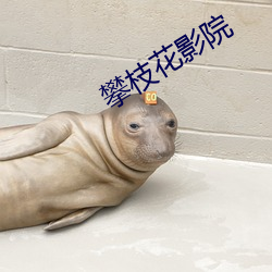 攀枝花影院 （苦楚）