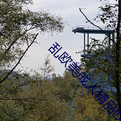 乱(luàn)欧美(měi)成人(rén)精品欧(ōu)美一级乱黄