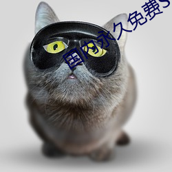 國內永久免費SAASCRM
