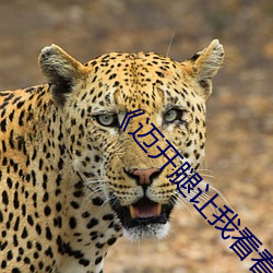 邁開腿讓我看看你裏面》(免費)在線觀看