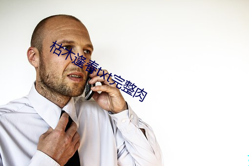 枯木逢春txt完整肉 （谨终如始）