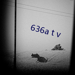 636a t v