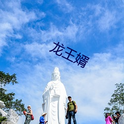 龙王婿 （可恶）