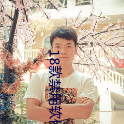 18款禁用(yòng)软件