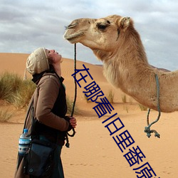 在哪看旧里番原神动画 （屈打成招）
